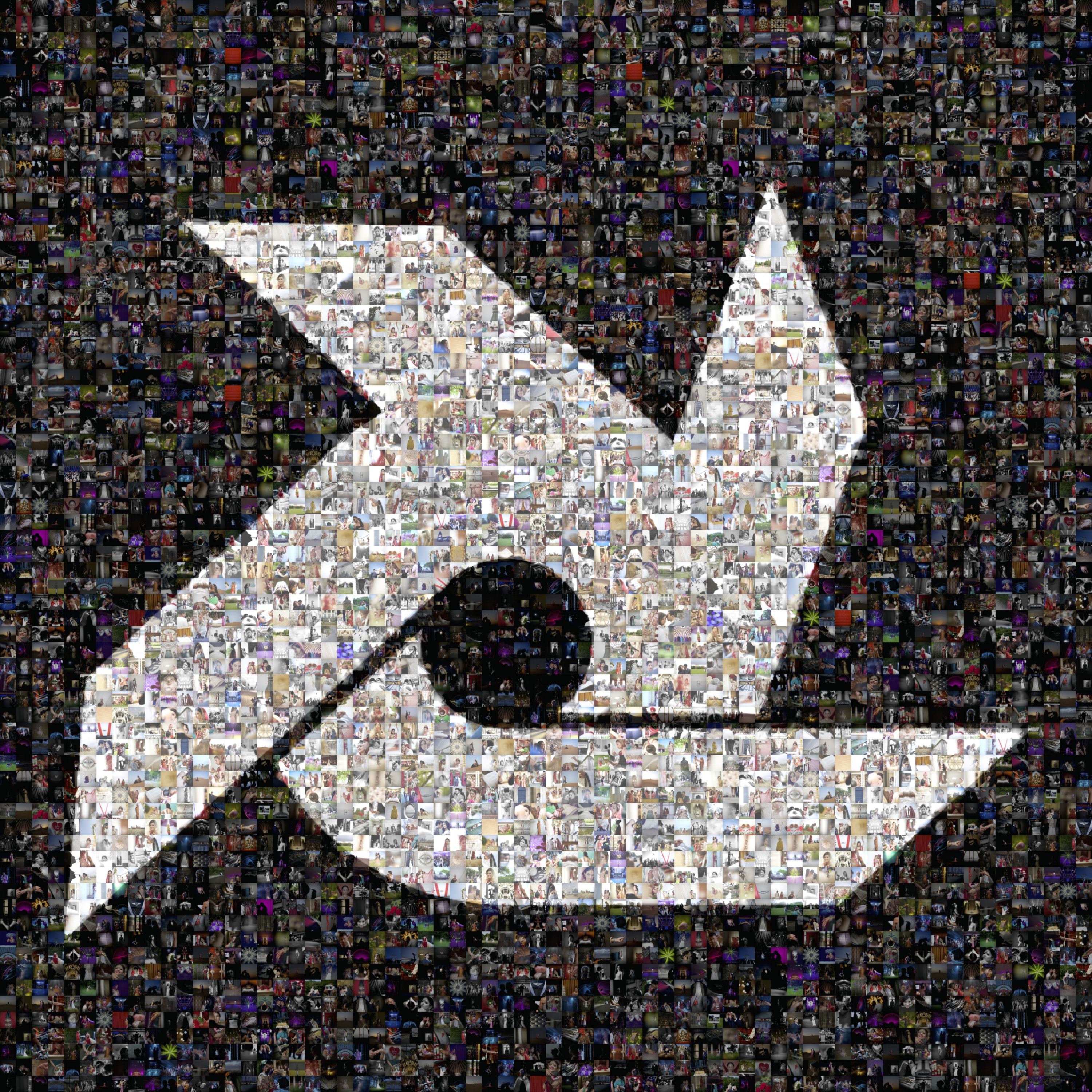 Dino Photo Ltd logo